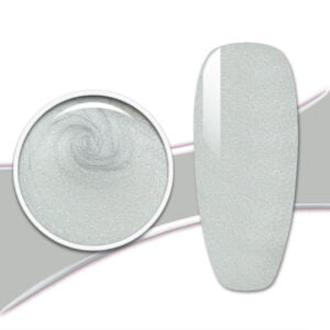 gel color painting per unghie silver pa05